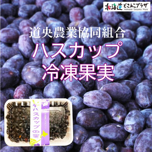 ハスカップ 冷凍 5kg 北海道産 2023年産 送料込み - 通販 - olgapuri.org