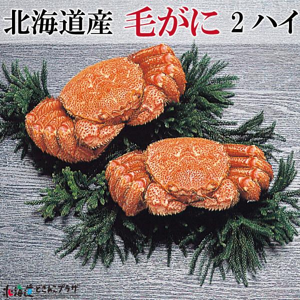 30％OFF クーポン 産地出荷「北海道産 毛がに 2ハイ」冷凍　送料込