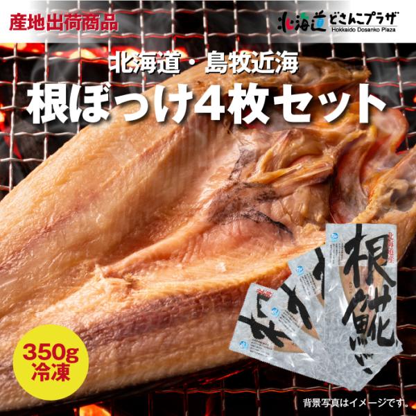 30％OFF クーポン 産地出荷「根ぼっけ4枚セット」冷凍　送料込 ギフト