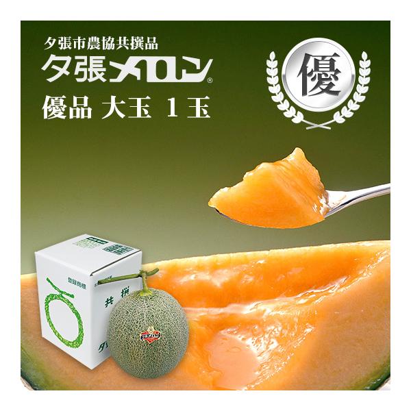 夕張市農協直送 共撰品 夕張メロン優品大玉(約1.6kg) 1玉【送料無料】 北海道 お中元 贈答品 引出物 赤肉メロン お供え物 お盆 名物
