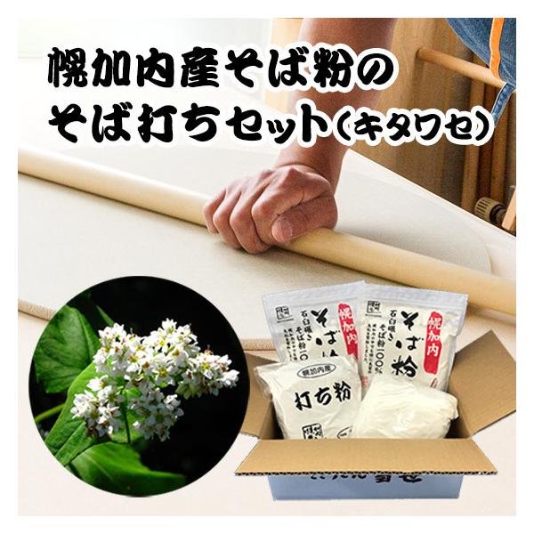 yYΕ̋łZbgiL^ZjyzyYnz kC yY ݂₰ ق납Ȃ Nz Mtg 