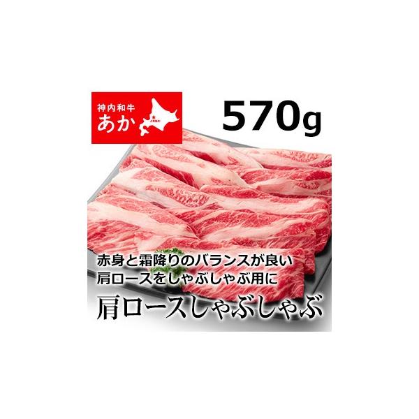 _a  Ԃ [XԂ 570gyzyH꒼zkC Ԗјa Mtg  䒆 Ε