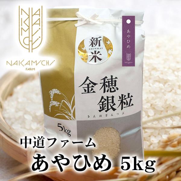 あやひめ 新米 あやひめ 米 5kg お米 北海道産 白米 令和7年産 送料無料 : ぎんしゃり