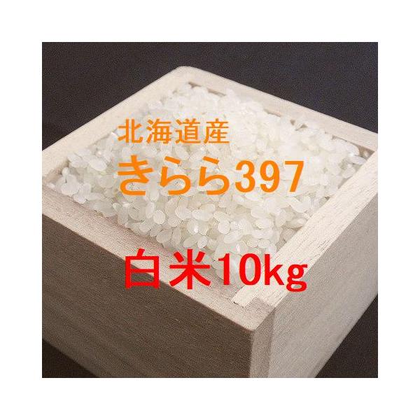 きらら三九七 北海道産 きらら397 白米10kg （令和6年産） : 北海道の