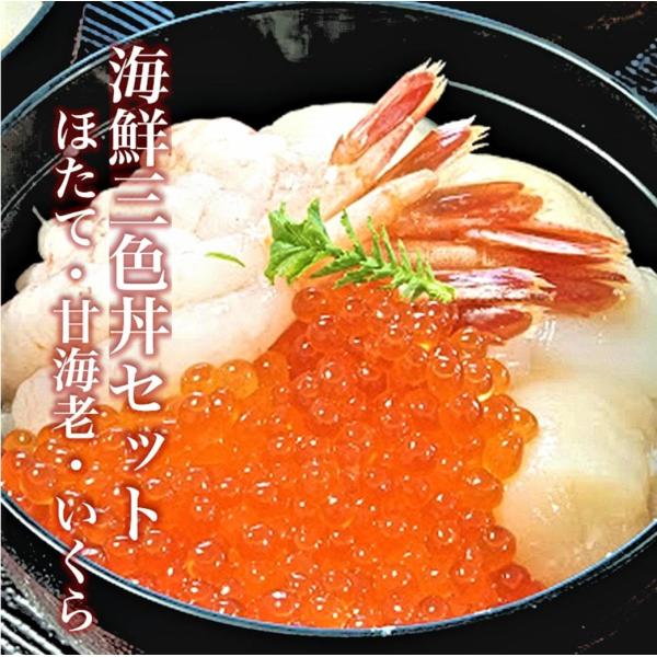 hokkaidomeshi_3shokudon-set-003
