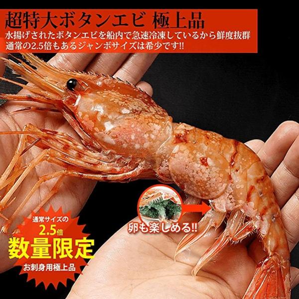 ボタンエビの超特大サイズ。通常サイズの2.5倍もあるジャンボサイズはなかなか手に入りません。獲れたてのボタンエビを船内で急速冷凍しているから抜群の鮮度。プリプリの食感とトロケル優しい甘さが絶品!お刺身や塩焼きでお楽しみください。ボタンエビの...
