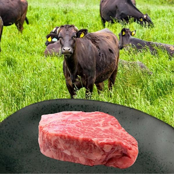 宗谷黒牛 ヒレステーキ  150ｇ