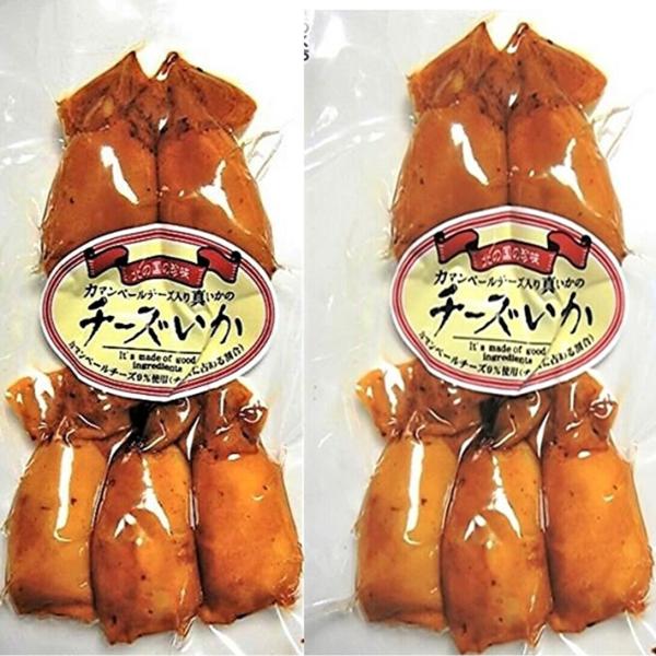 北海道 珍味 チーズいか カマンベールチーズ 入100g２パック クロネコゆうパケット便