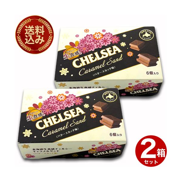 北海道の豊かな自然が育んだ「明治 道南食品 北海道生食感 チェルシーキャラメルサンド〈バタースカッチ味〉」は、特別なおやつタイムを演出します。6個入りのこの商品は、バタースカッチの風味が口いっぱいに広がり、キャラメルの濃厚な甘さと絶妙に調和...