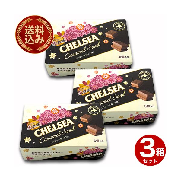 北海道の豊かな自然が育んだ「明治 道南食品 北海道生食感 チェルシーキャラメルサンド〈バタースカッチ味〉」は、特別なおやつタイムを演出します。6個入りのこの商品は、バタースカッチの風味が口いっぱいに広がり、キャラメルの濃厚な甘さと絶妙に調和...