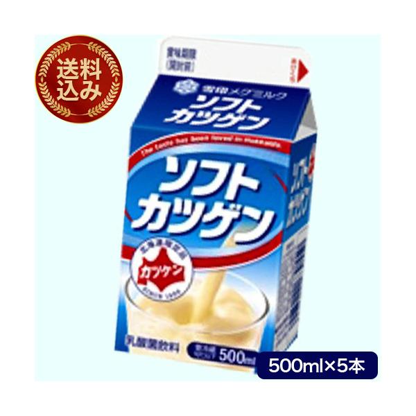 ＜送料込＞雪印メグミルク ソフトカツゲン  500ml×5本セット 発送まで１週間ほどご予定願います がっちりマンデーで紹介 北海道 乳酸菌飲料 ご当地ドリンク