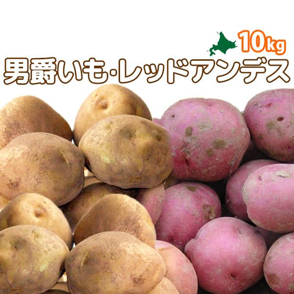男爵いも＆レッドアンデス10kg 野菜セット［2026年秋収穫 北海道真狩村産［北海道/真狩/真狩産/男爵/アンデスレッド/道産/北海道産/美味しい］