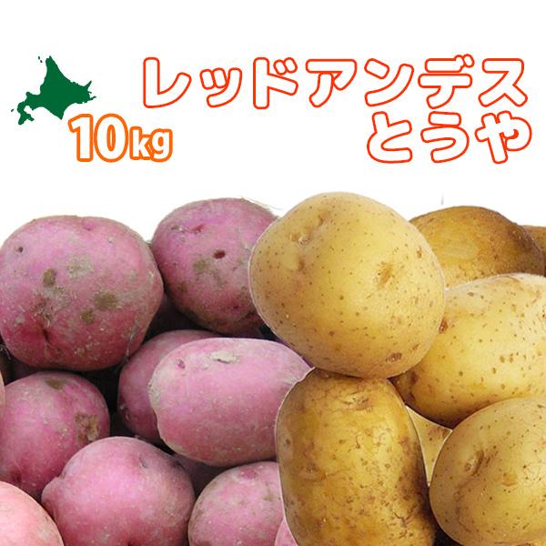 レッドアンデス&とうや10kg 野菜セット［2026年秋収穫 北海道真狩村産［北海道/真狩/真狩産/男爵/アンデスレッド/道産/北海道産/美味しい］
