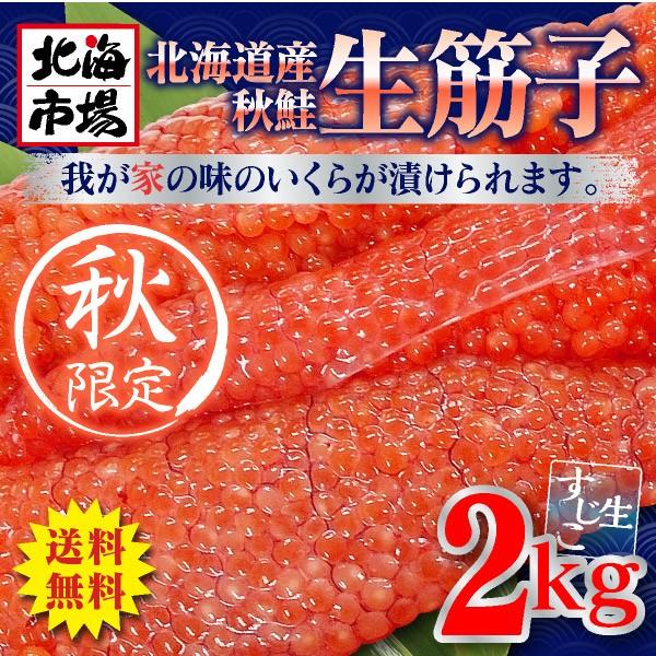 y10{菇zԌ kCY ؎q 2kg ①   kC  CN  Ɩp 蕨 O n Ԃ j 