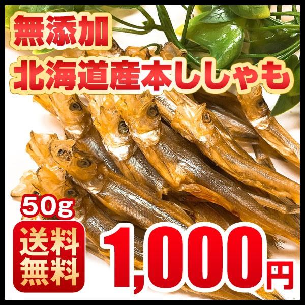 おつまみ 送料無料 ししゃも 寒干し 北海道産 50g 珍味 無添加 01 096 北海道お取り寄せ本舗 通販 Yahoo ショッピング