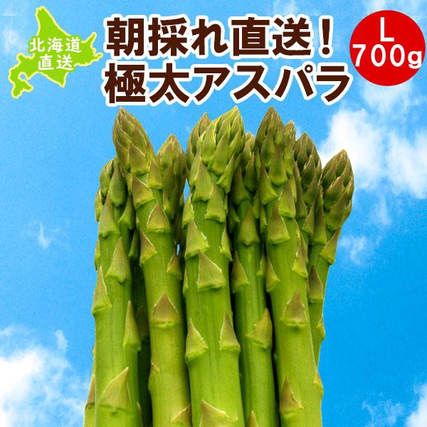 アスパラ 北海道産グリーンアスパラ 夏 産地直送 ハウス栽培 Lサイズ 朝採れ 極太 ギフト 贈り物 プレゼント お中元 ※26年7月中旬より発送