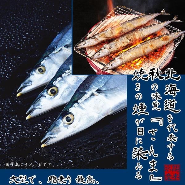 北海道産 大型一汐サンマ 頭付き 丸ごと1尾 2尾入り 真空個包装 Buyee Buyee Japanese Proxy Service Buy From Japan Bot Online