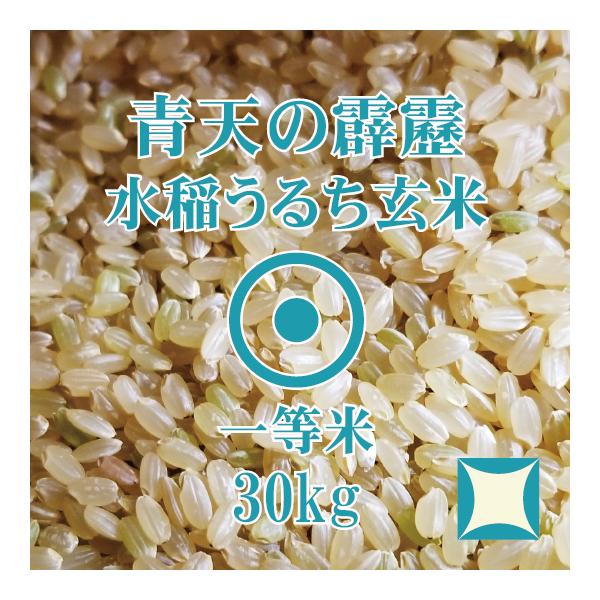青天の霹靂 玄米 30kg 令和6年産 青森県産 一等米 : ほくべい