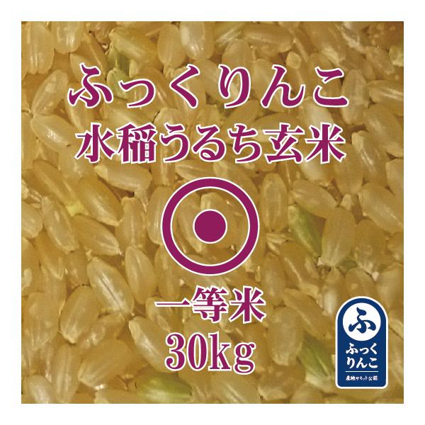北海道産 ふっくりんこ 玄米 30kg 令和7年産 一等米 爆買