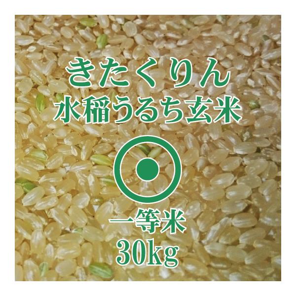 北海道産 きたくりん 玄米 30kg 令和7年産【東川米】一等米 爆買 北海道米