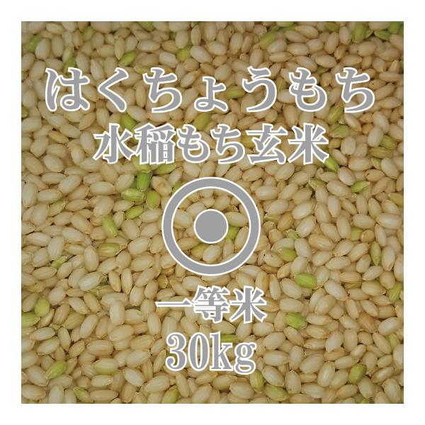 hokubei-shop_05500