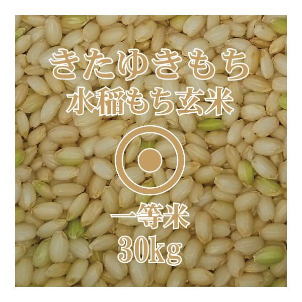 北海道産 きたゆきもち 玄米 30kg 令和6年産 一等米 北海道米 北海道産 きたゆきもち 玄米 30kg 令和6年産 一等米 北海道米