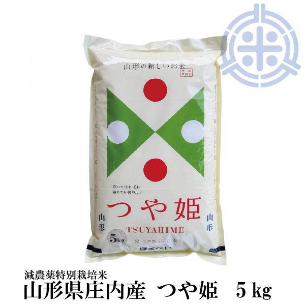 yVāzP 5kg  R`Y ߘa7NY R`Y A _ʍ͔| ^pbNΉ   5kg