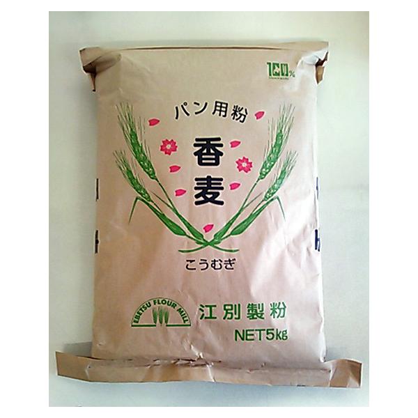 yz]ʐ  5kg kCY100 Ɩp pp͕