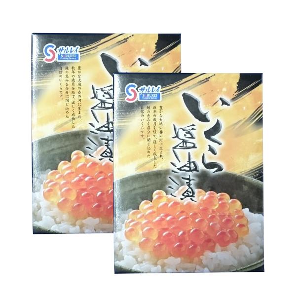 kCIz[cNY  ݖЂ 1kg (250g×2P×2) TC  yN[֔z