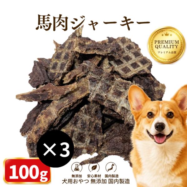 犬 アレルギー おやつ 無添加 国産 馬肉100％ ヘルシー ジャーキー (100g×3袋) 無成型  低カロリー 低アレルギン 鉄分補給