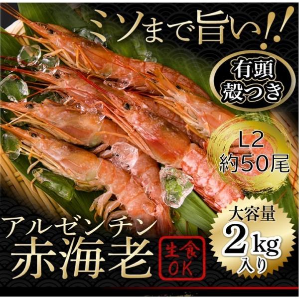 赤海老アルゼンチン赤海老エビ海老 冷凍 特大 L2サイズ 約 50尾 ２.0kg 有頭 大容量 エビ 冷凍エビ 業務用