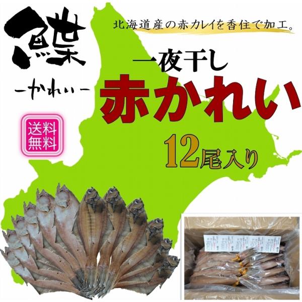 干しカレイ 赤かれい 干物 12尾入り 大容量 送料無料