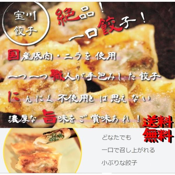 敬老の日 プレゼント ぎょうざ 餃子 生餃子 一口餃子 にんにく不使用 15個入り×４パック 宝川 宝川餃子 送料無料
