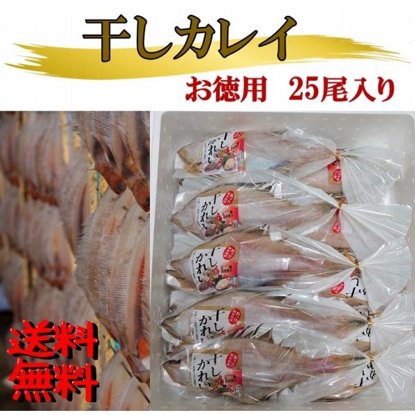 干しカレイ かれい 干物 25入り 大容量 送料無料