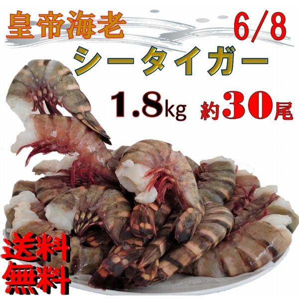 お中元 シータイガー海老 天然海老 特大サイズ 6/8 約30尾 1.8kg 無頭 大容量 えび 海老
