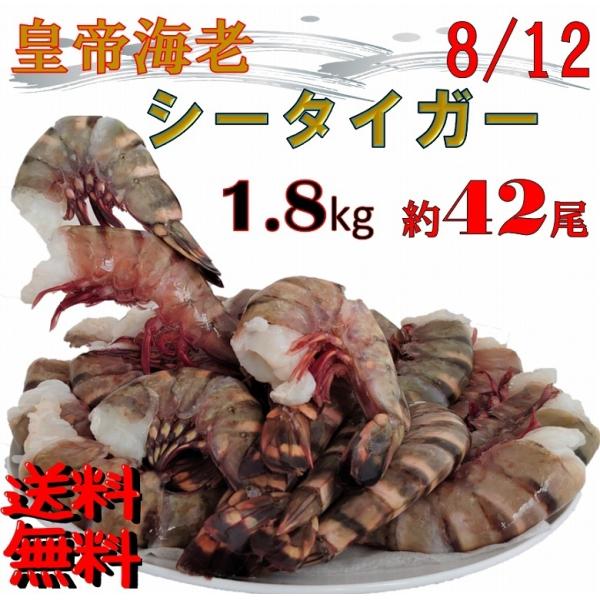 シータイガー海老 天然海老 特大サイズ 8/12 約42尾 1.8kg 無頭 大容量 えび 海老