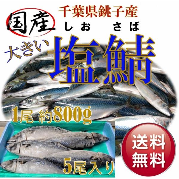 さば サバ 塩サバ 国産 ４kg５尾入り 焼魚 魚介類、海産物 大容量 送料無料