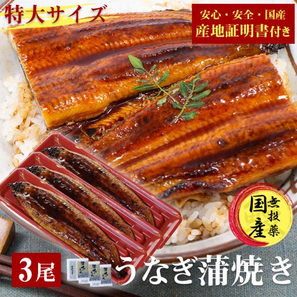 国産 うなぎ 蒲焼き 鰻 うなぎ蒲焼き 送料無料 特大 200g 3尾 セット 国産うなぎ ウナギ 蒲焼 うなぎ 蒲焼き 国産 産地証明書 付き ギフト
