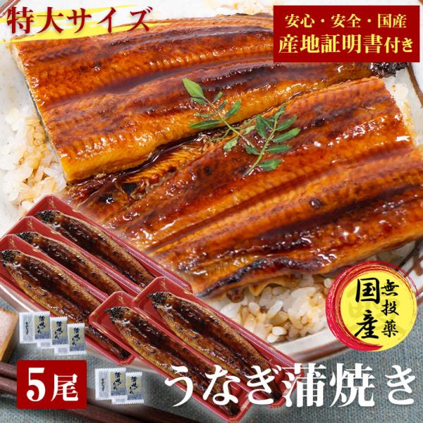 国産 うなぎ 蒲焼き 鰻 うなぎ蒲焼き 送料無料 特大 200g 5尾 セット 国産うなぎ ウナギ 蒲焼 うなぎ 蒲焼き 国産 産地証明書 付き ギフト