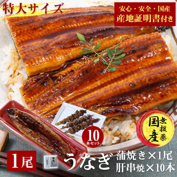 国産 うなぎ 蒲焼き 鰻 うなぎ蒲焼き 送料無料 特大 200g 1尾 肝串 肝串焼き 10本 セット 国産うなぎ ウナギ 蒲焼 国産 産地証明書 付き ギフト