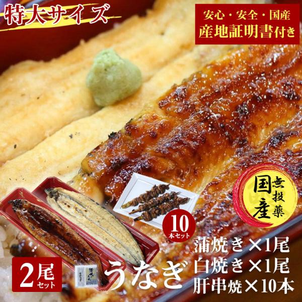 国産 うなぎ 蒲焼き 鰻 うなぎ蒲焼き 白焼 白焼き 送料無料 特大 200g 2尾 肝串 10本 セット 国産うなぎ ウナギ 蒲焼 国産 産地証明書 付き