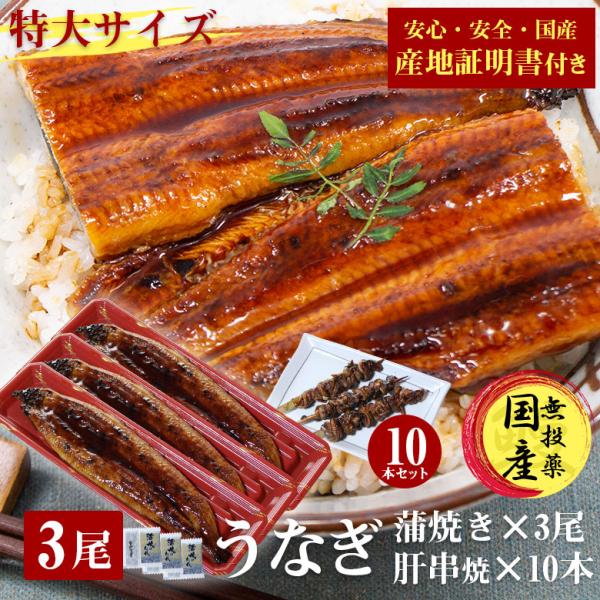 国産 うなぎ 蒲焼き 鰻 うなぎ蒲焼き 送料無料 特大 200g 3尾 肝串 肝串焼き 10本 セット 国産うなぎ ウナギ 蒲焼 国産 産地証明書 付き ギフト