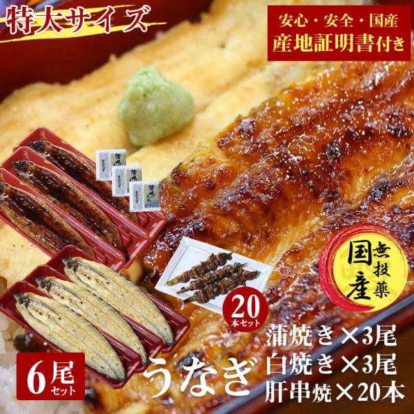 国産 うなぎ 蒲焼き 鰻 うなぎ蒲焼き 白焼 白焼き 送料無料 特大 200g 6尾 肝串 20本 セット 国産うなぎ ウナギ 蒲焼 国産 産地証明書 付き