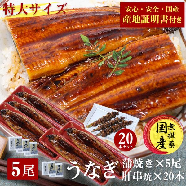 国産 うなぎ 蒲焼き 鰻 うなぎ蒲焼き 送料無料 特大 200g 5尾 肝串 肝串焼き 20本 セット 国産うなぎ ウナギ 蒲焼 国産 産地証明書 付き ギフト