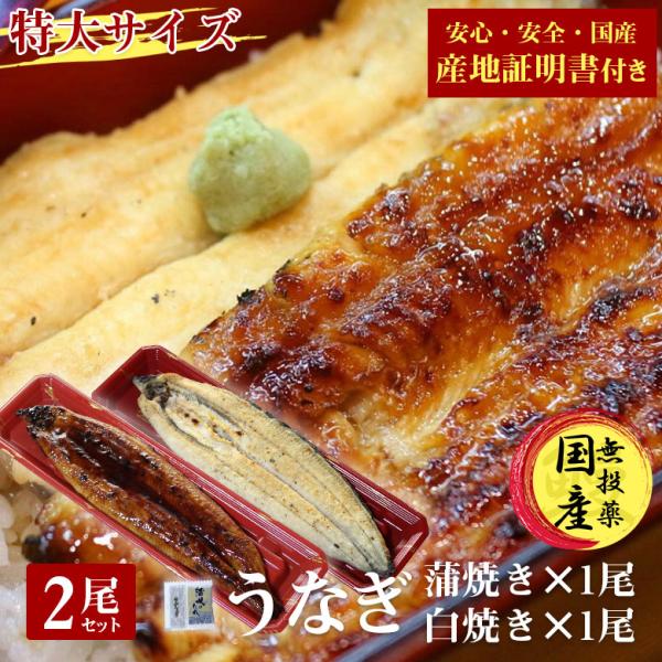 敬老の日 国産 うなぎ 蒲焼き 鰻 うなぎ蒲焼き 白焼 白焼き 送料無料 特大 200g 2尾 セット 国産うなぎ ウナギ 蒲焼 国産 産地証明書 付き ギフト