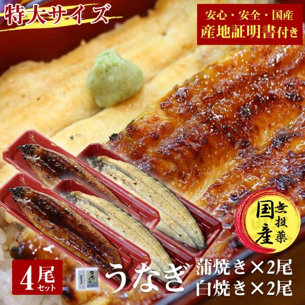 国産 うなぎ 蒲焼き 鰻 うなぎ蒲焼き 白焼 白焼き 送料無料 特大 200g 4尾 セット 国産うなぎ ウナギ 蒲焼 国産 産地証明書 付き ギフト