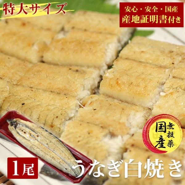 敬老の日 国産 うなぎ 白焼き 鰻 しら焼き 送料無料 特大 200g 1尾 国産うなぎ ウナギ 炭火焼き うなぎ 白焼 国産 産地証明書 付き ギフト