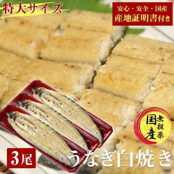国産 うなぎ 白焼き 鰻 しら焼き 送料無料 特大 200g 3尾 セット 国産うなぎ ウナギ 炭火焼き うなぎ 白焼 国産 産地証明書 付き ギフト