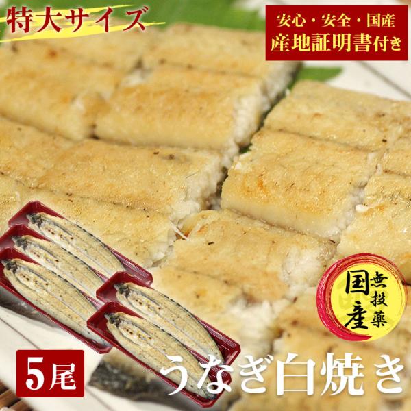 国産 うなぎ 白焼き 鰻 しら焼き 送料無料 特大 200g 5尾 セット 国産うなぎ ウナギ 炭火焼き うなぎ 白焼 国産 産地証明書 付き ギフト