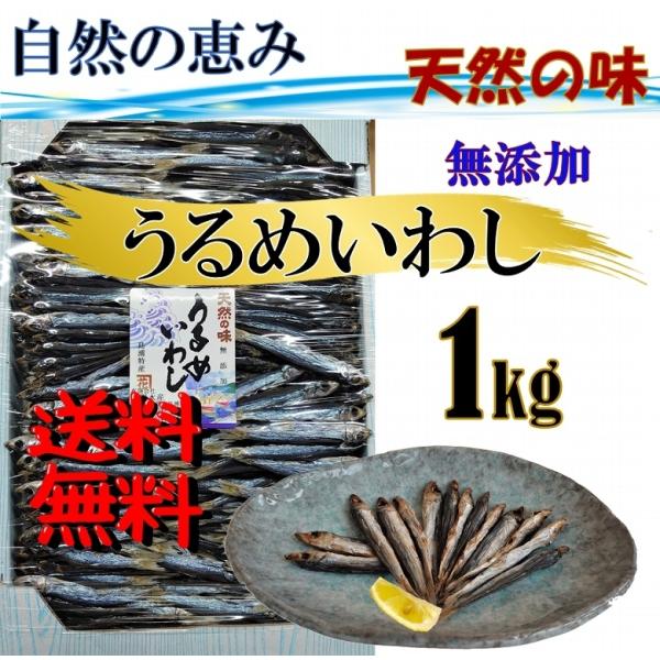 めざし うるめ うるめ丸干し 無添加 極上 １kg入り 大容量 送料無料